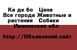 Ка де бо › Цена ­ 25 - Все города Животные и растения » Собаки   . Ивановская обл.